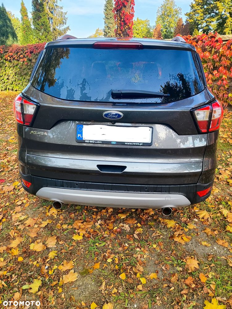 Ford Kuga 2019 photo 3