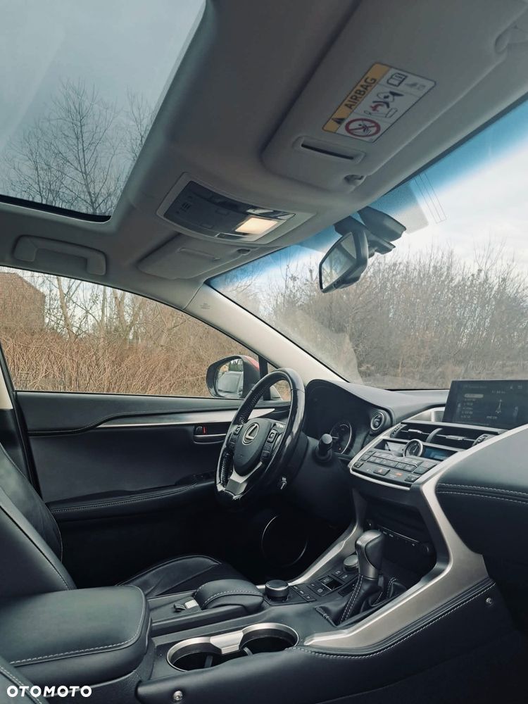 Lexus NX 300h Comfort AWD - 8