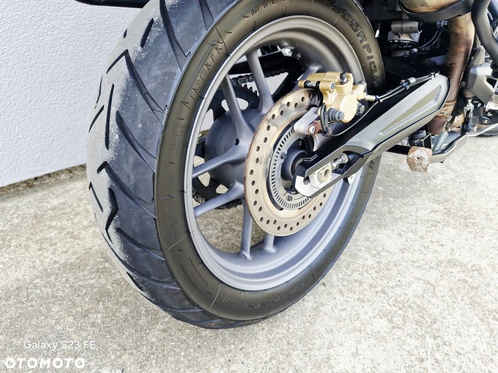 Triumph Tiger - 21