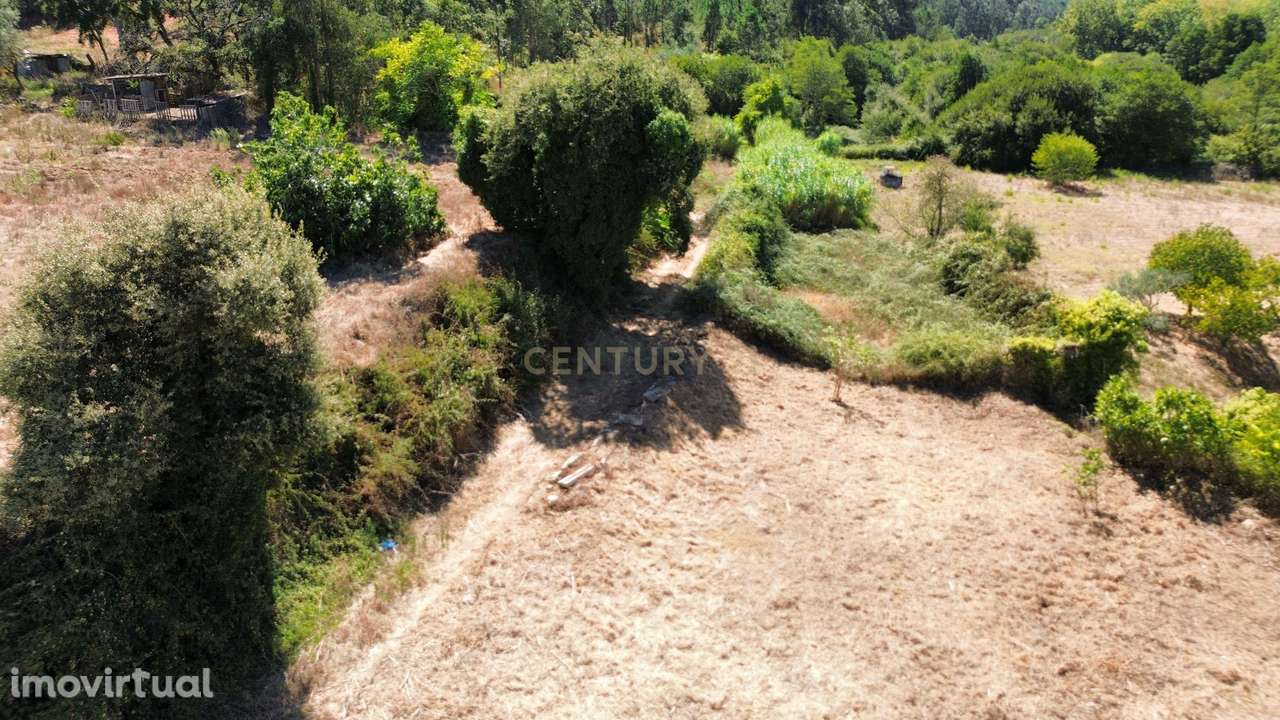 Terreno para arrendamento em Santorum, Pombal - Grande imagem: 5/12