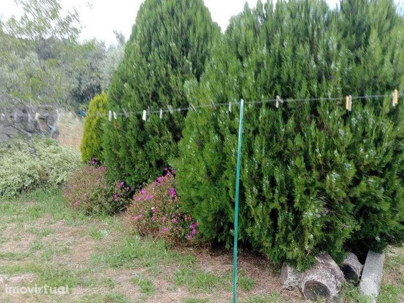 Monsanto Aldeia Histórica Venda de casa tipica - Grande imagem: 5/12