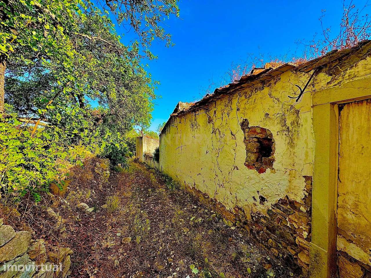 TERRENO COM RUÍNA E VISTA PANORAMICA | SAMBADA A 15 MINUTOS DE FARO - Grande imagem: 5/13
