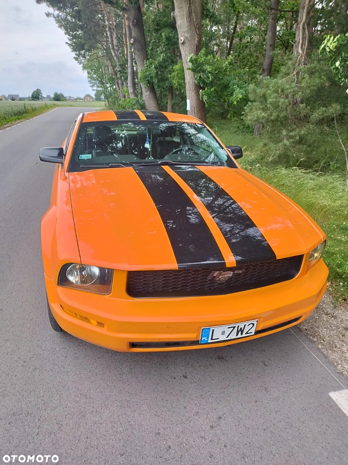 Ford Mustang 4.0 V6 - 4