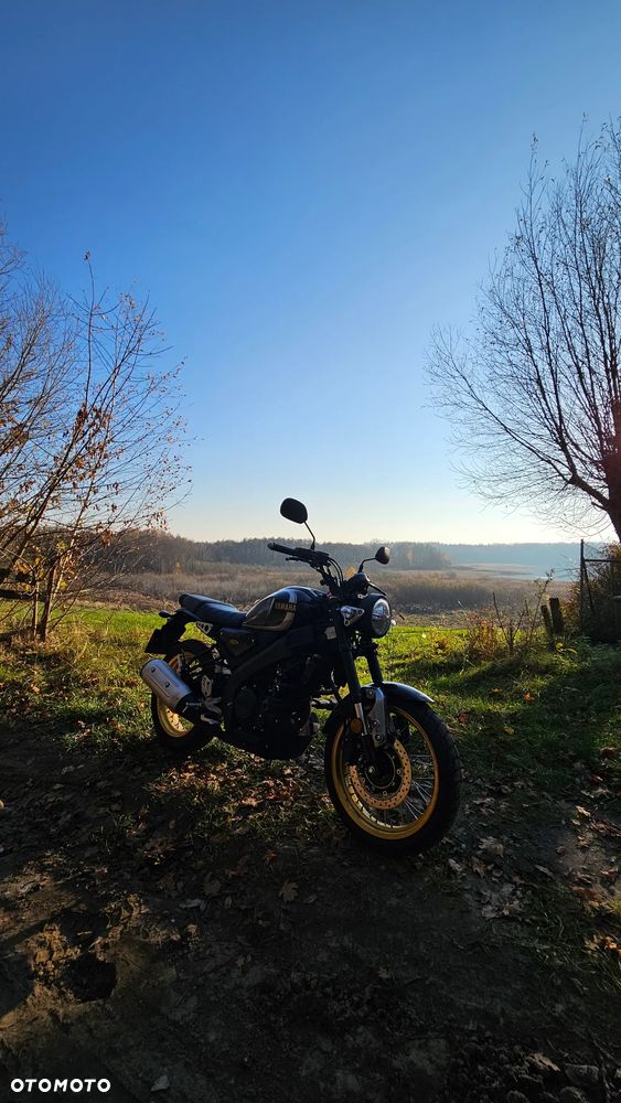 Yamaha XSR - 7