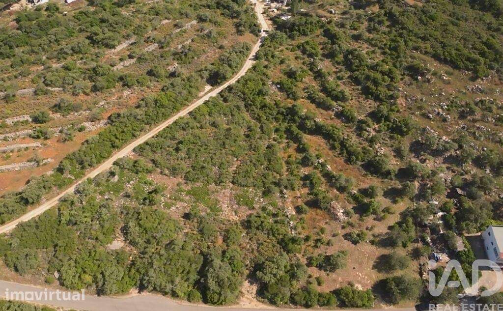 Terreno em Conceição e Estoi de 6240,00 m2 - Grande imagem: 3/3