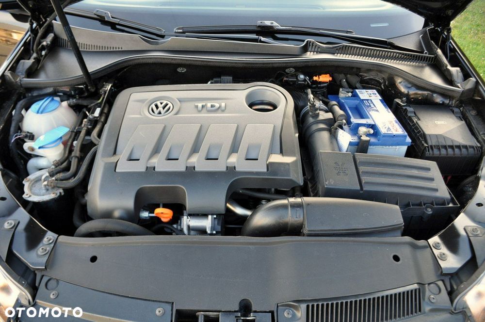 Volkswagen Golf - 39