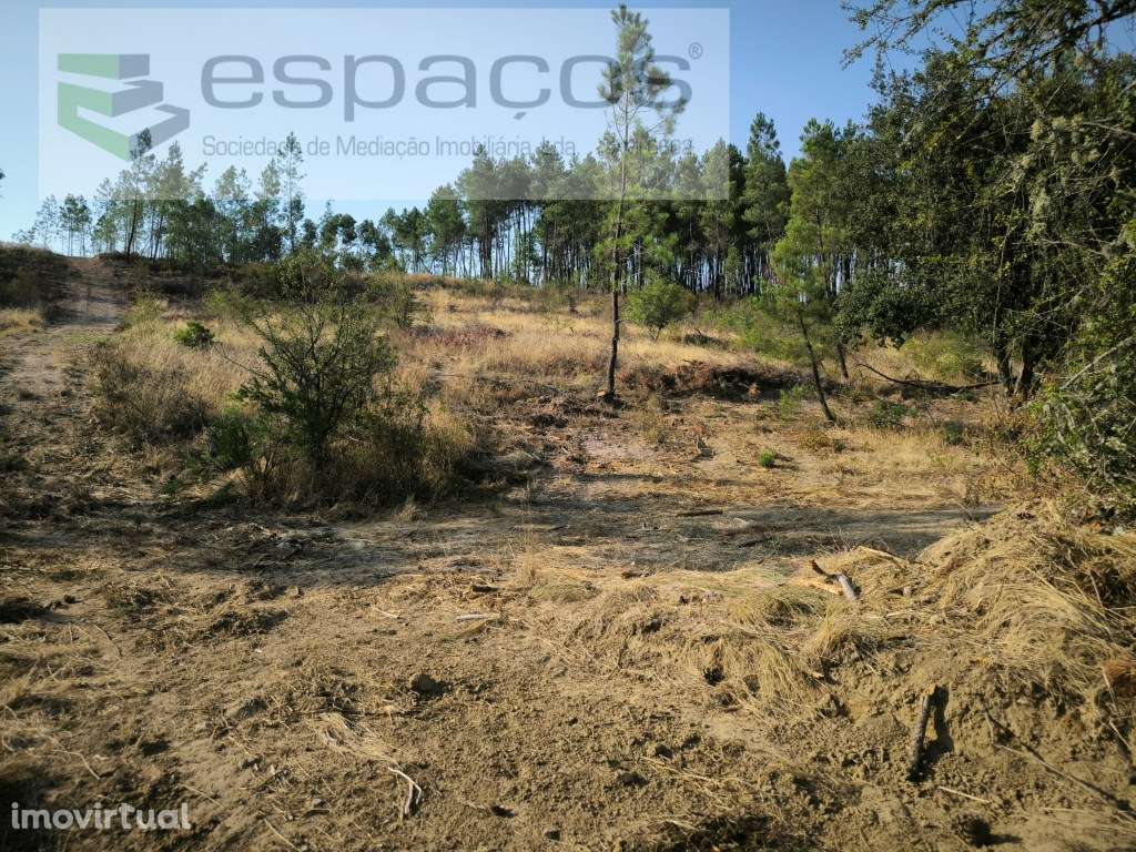 Encosta da Várzea - S. Domingos - Grande imagem: 3/8