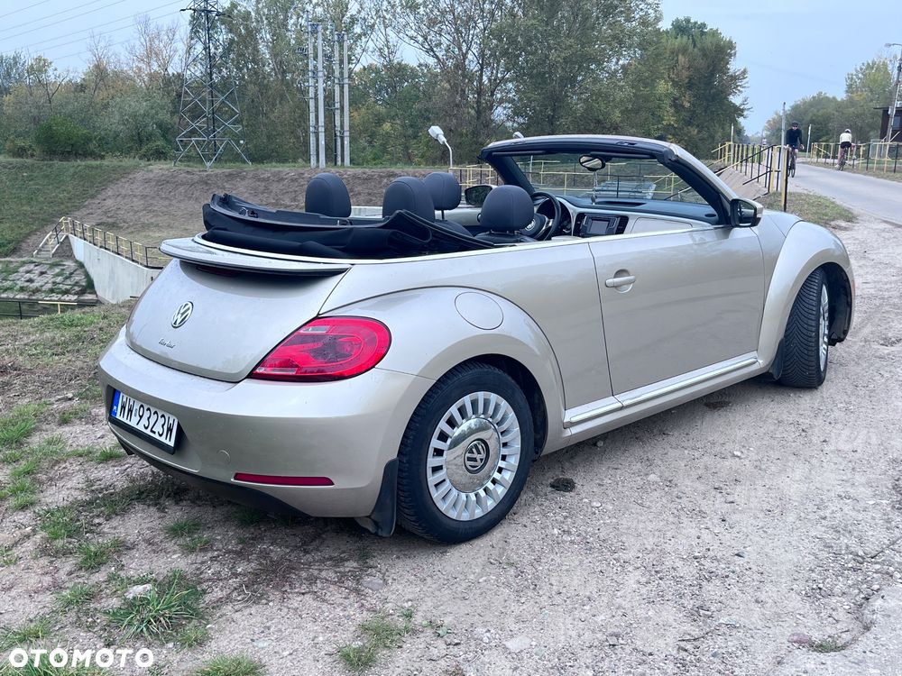 Volkswagen Beetle - 5