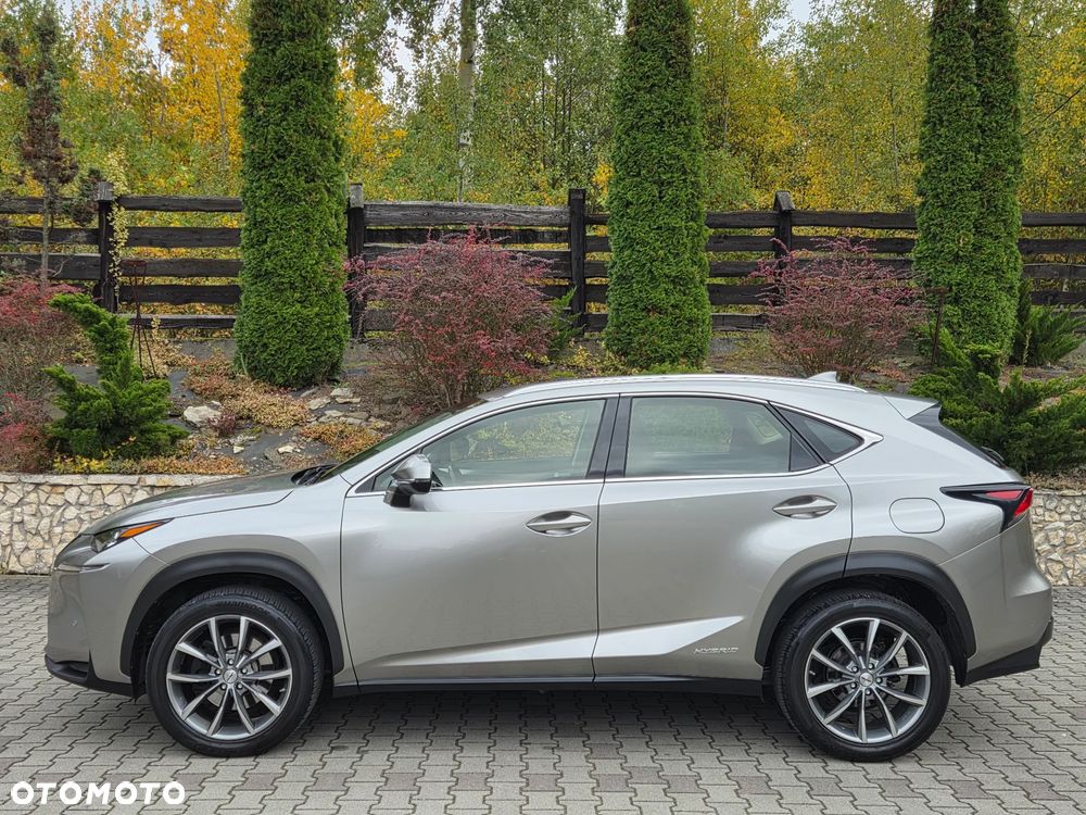 Lexus Nx 2017 photo 4