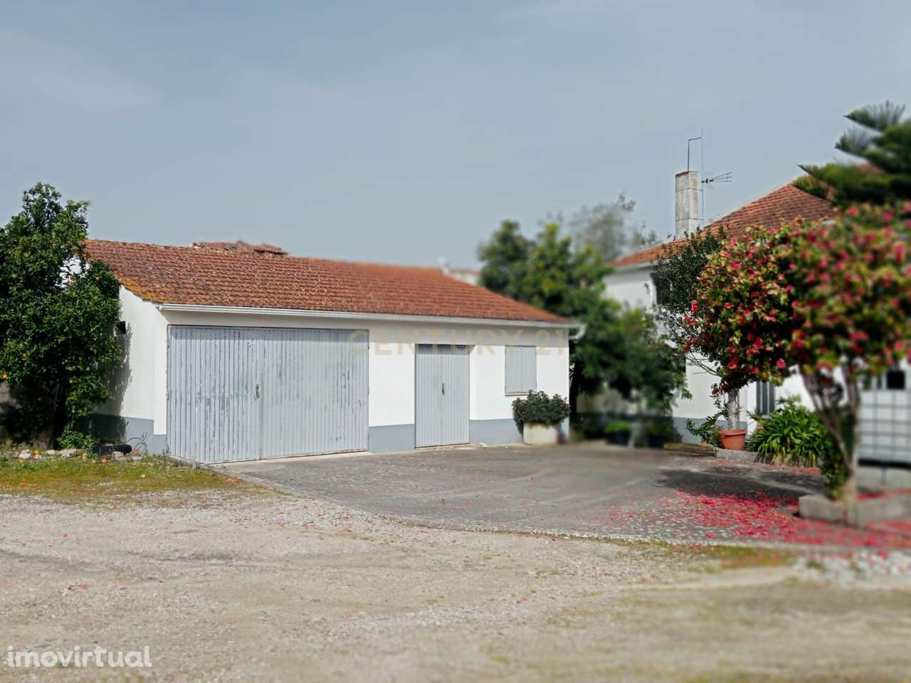 Moradia T6 com Terreno de 5.817m2 para Agricultura ou Turismo Próx. Fá - Grande imagem: 4/31