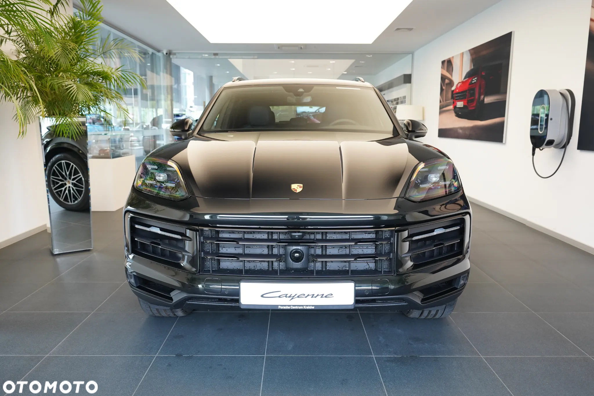 Porsche Cayenne Standard - 4
