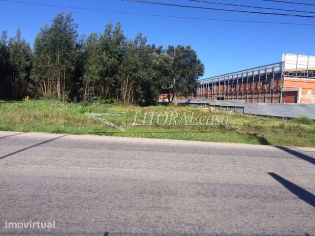Terreno industrial para arrendamento 11.000 m2 - Cacia - Grande imagem: 2/3