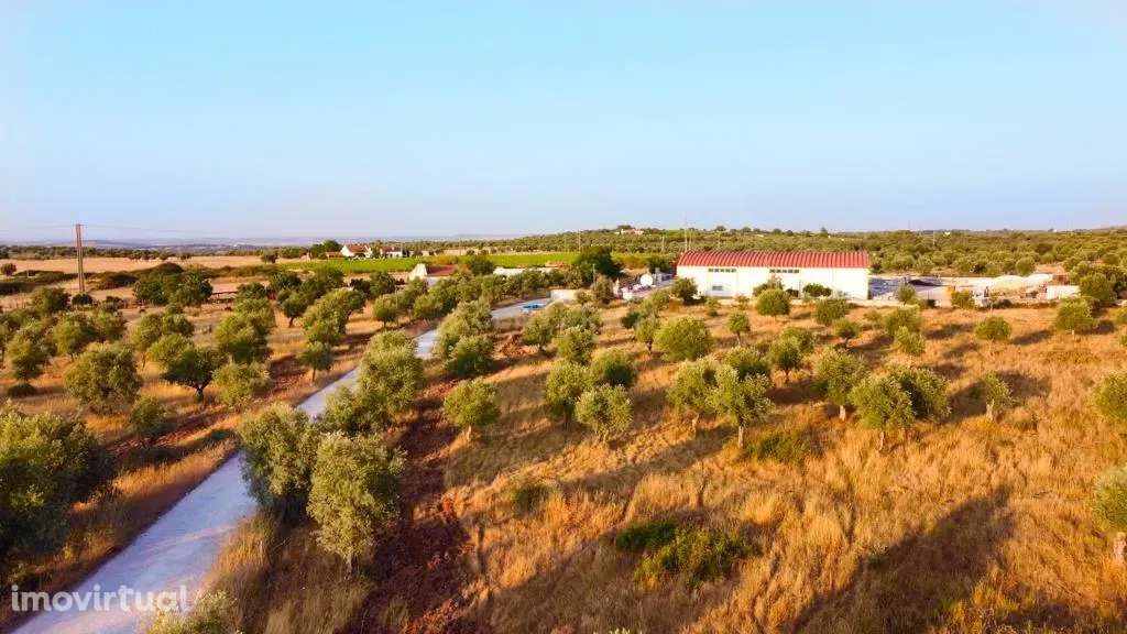 Terreno rústico com 135.500 m2  em solo urbano, urbanizável - em Estre - Grande imagem: 5/7