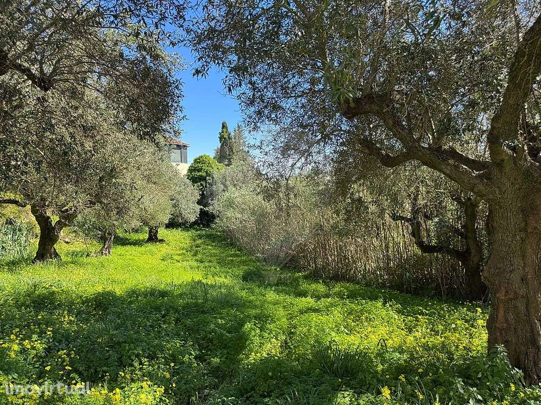 Terreno  para venda - Grande imagem: 5/32