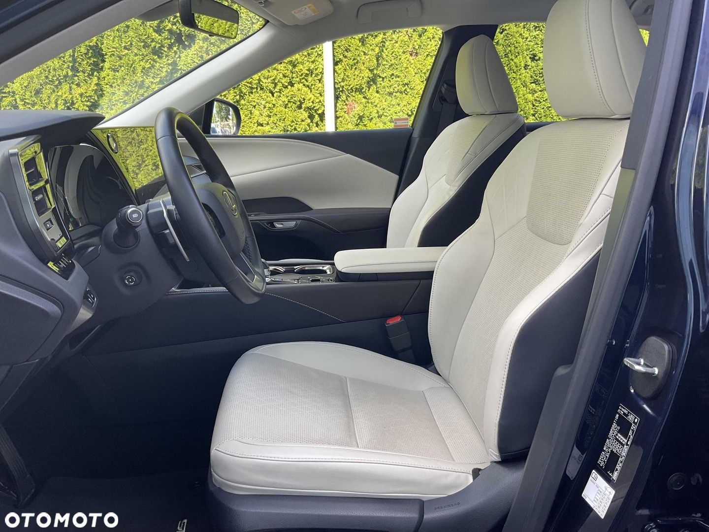 Lexus RX - 11