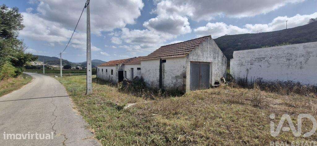 Terreno misto em Rio Maior - Grande imagem: 2/35