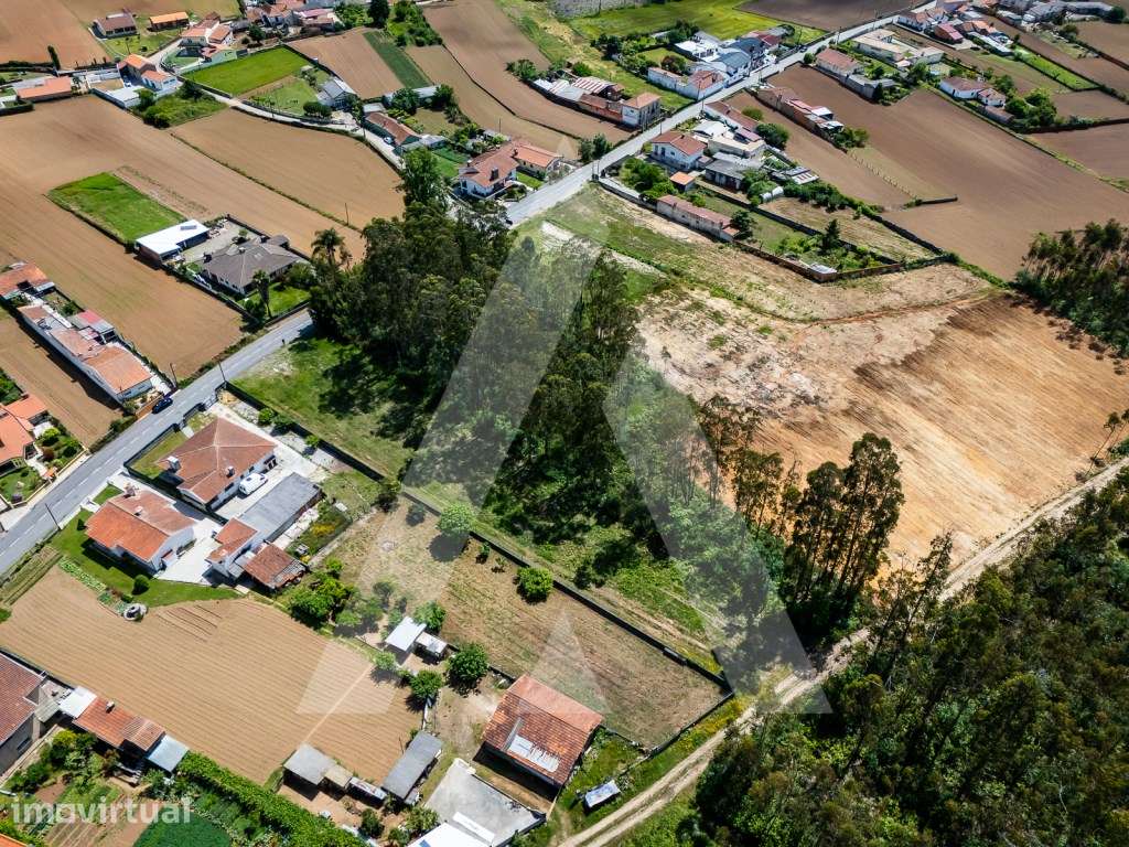 Terreno com 2600m2 para construção em Válega - Ovar - Grande imagem: 2/12