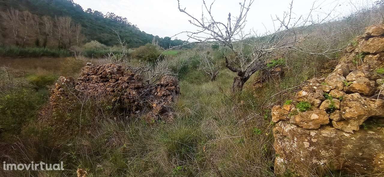 Terreno Rústico  Venda em Igreja Nova e Cheleiros,Mafra - Grande imagem: 5/24