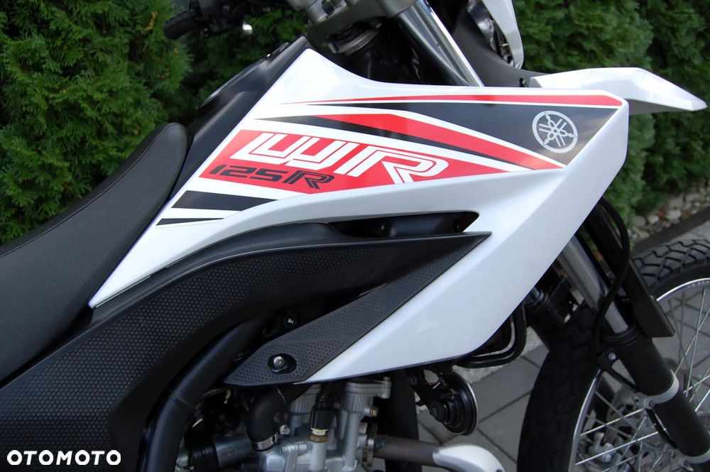 Yamaha WR - 10