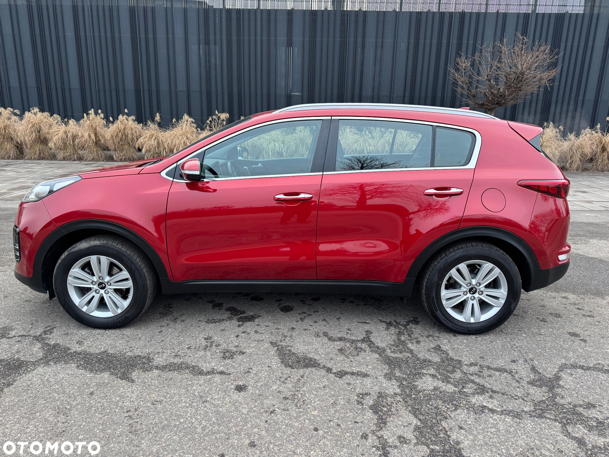 Kia Sportage 1.6 GDI Black Edition 2WD - 10