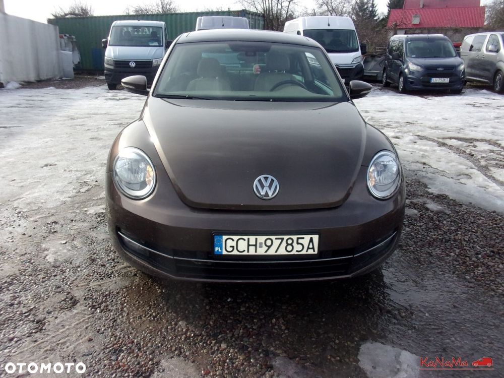 Volkswagen Beetle - 6