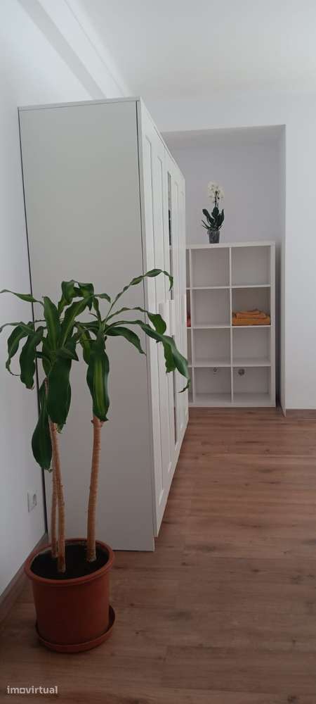 Quarto Duplo para 2 estudantes - Grande imagem: 5/6