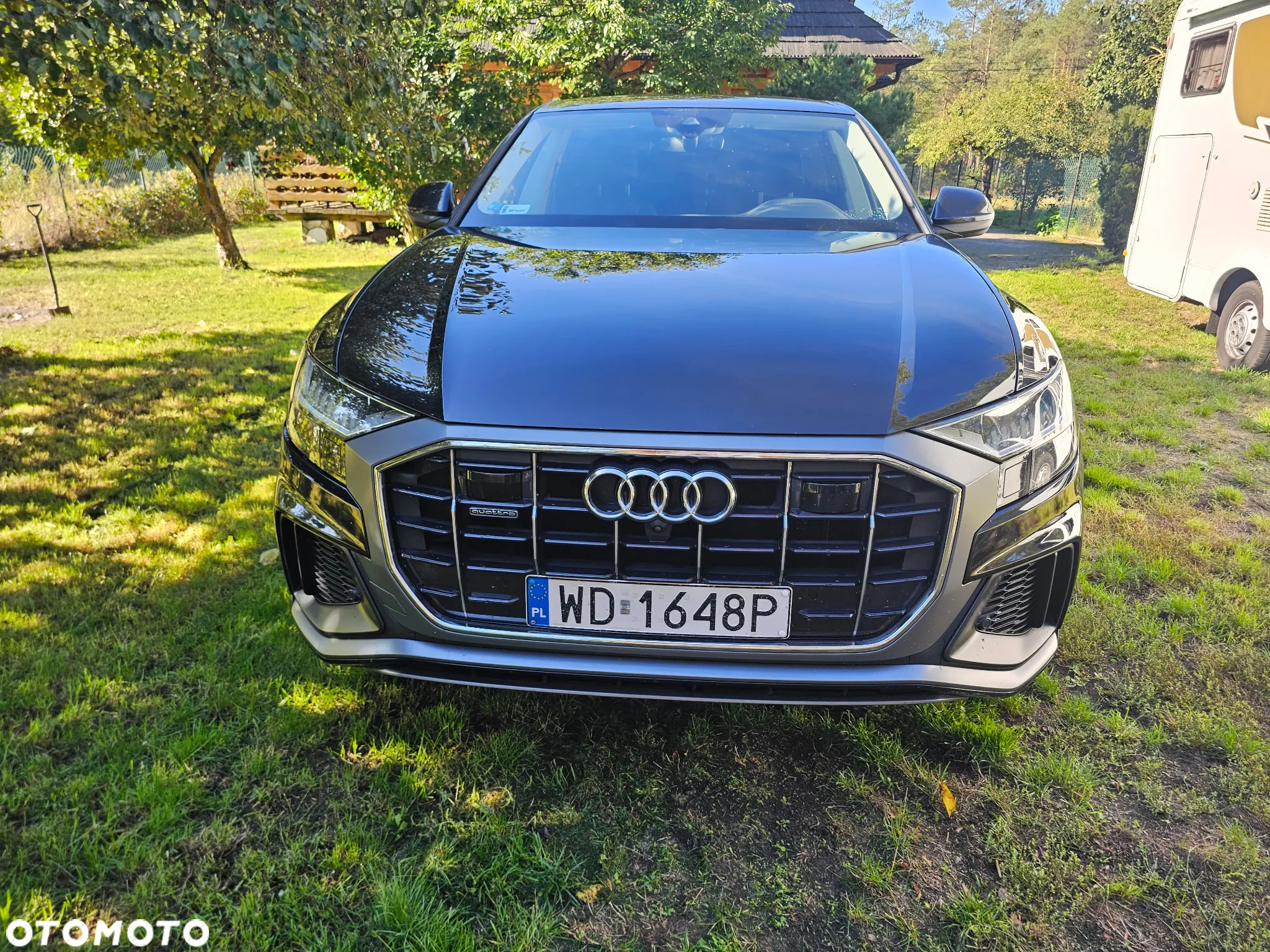 Audi Q8 50 TDI mHEV Quattro Tiptronic - 10