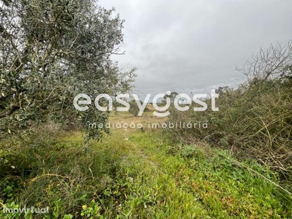 Terreno com 20.654 m2, localizado na Asseiceira, Poceirão - Grande imagem: 4/4