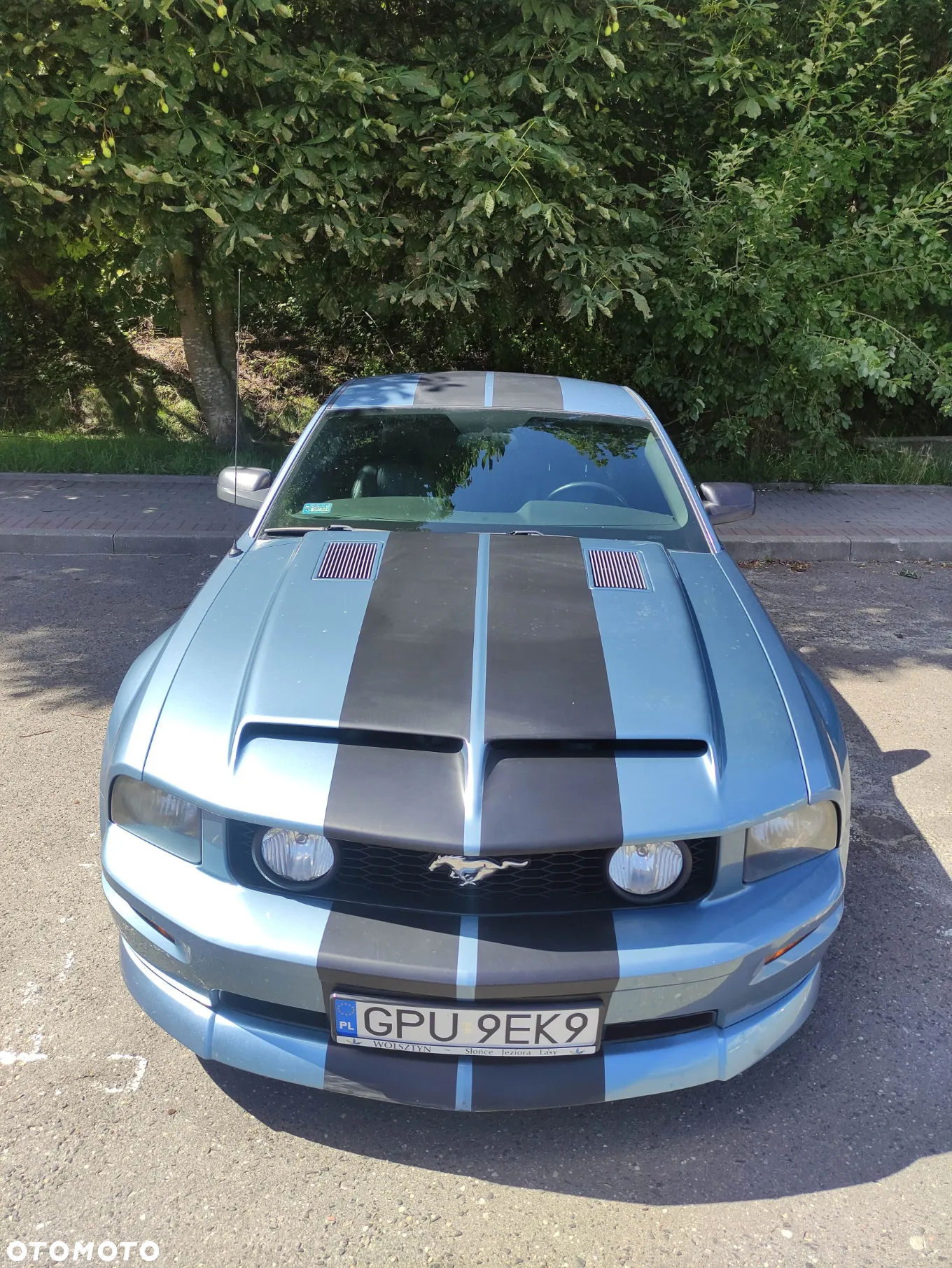 Ford Mustang - 6