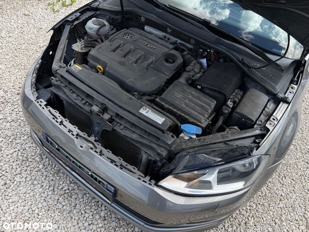 Volkswagen Golf - 25