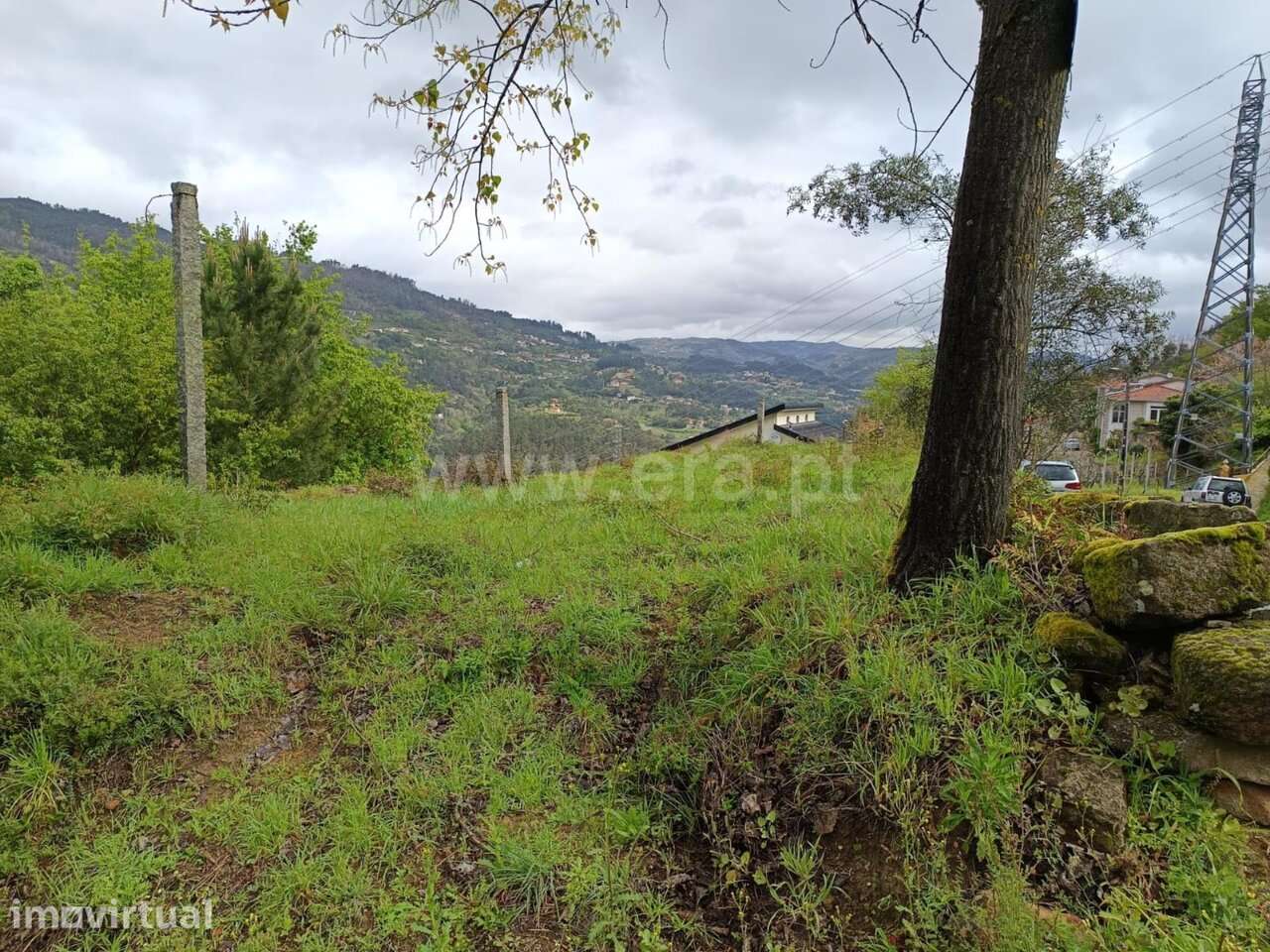 Quinta / Cinfães, Rio Douro - Grande imagem: 4/17