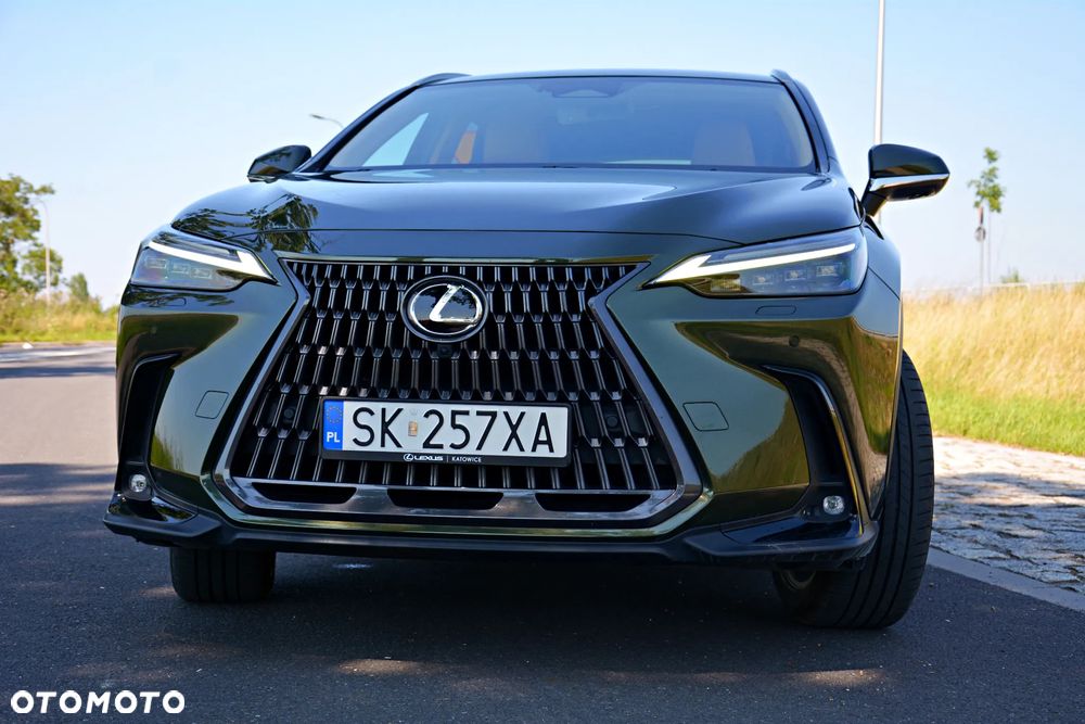 Lexus Nx 2022 photo 5