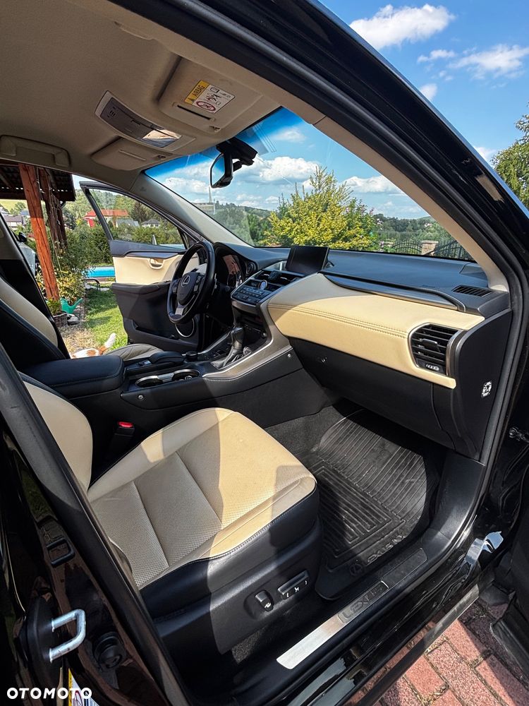 Lexus NX - 16
