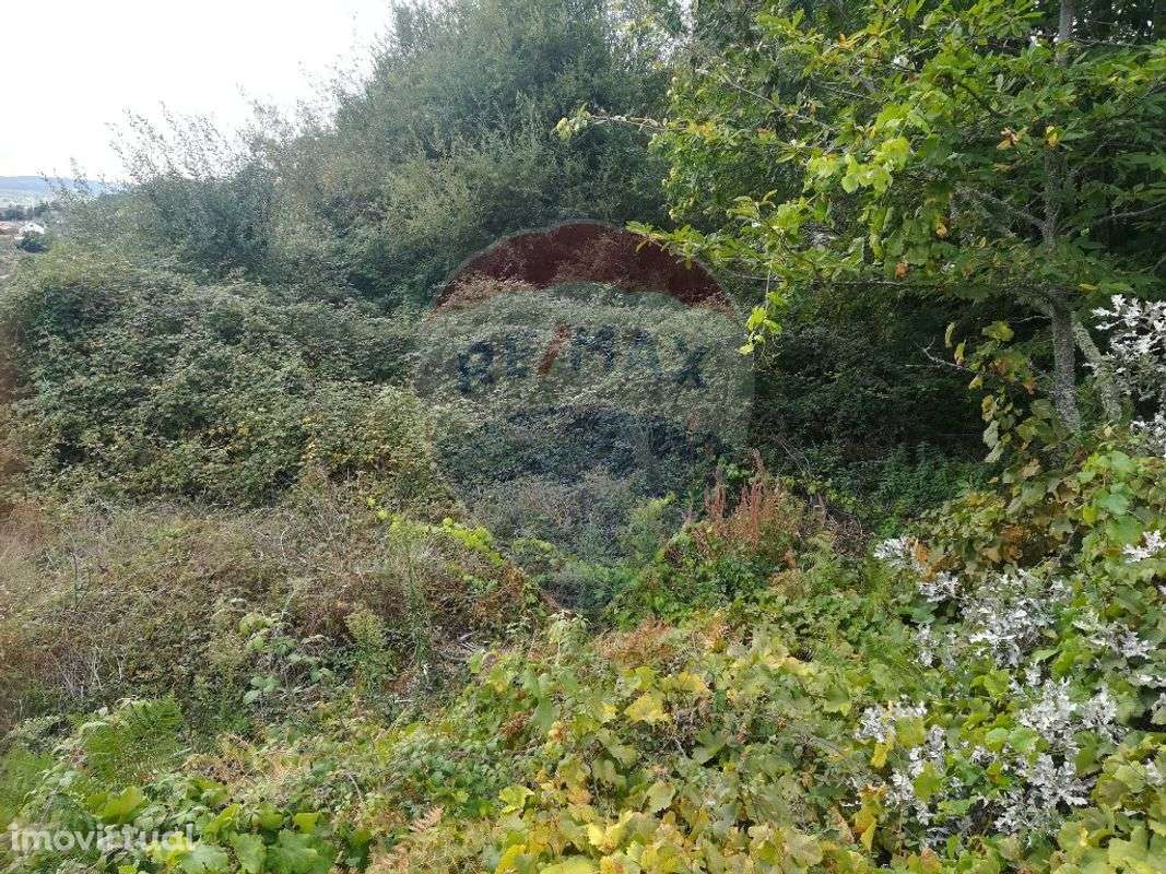 Terreno  para venda - Grande imagem: 2/5