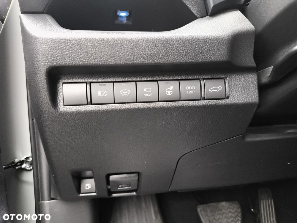 Toyota RAV4 2.5 Hybrid Executive 4x2 - 22