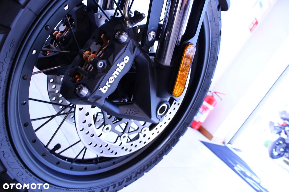 Triumph Tiger - 31