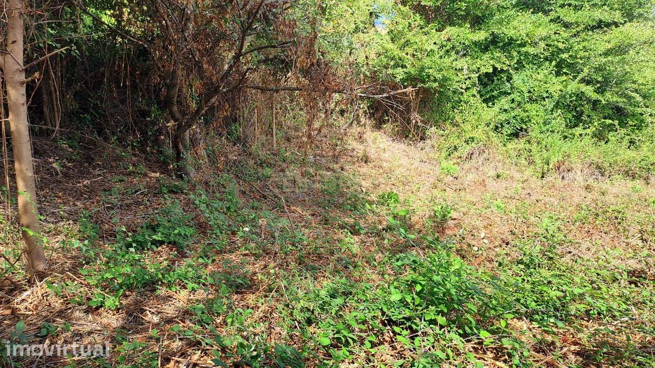 Terreno Agrícola - São João das Lampas - Grande imagem: 4/15