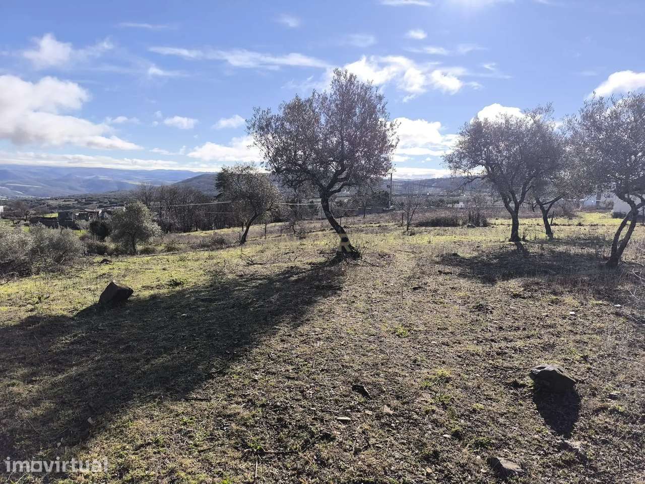 Terreno Rústico em Bragança - Oportunidade Única por 80.000€ - Grande imagem: 2/4