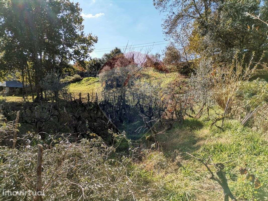 Terreno  para venda - Grande imagem: 3/6