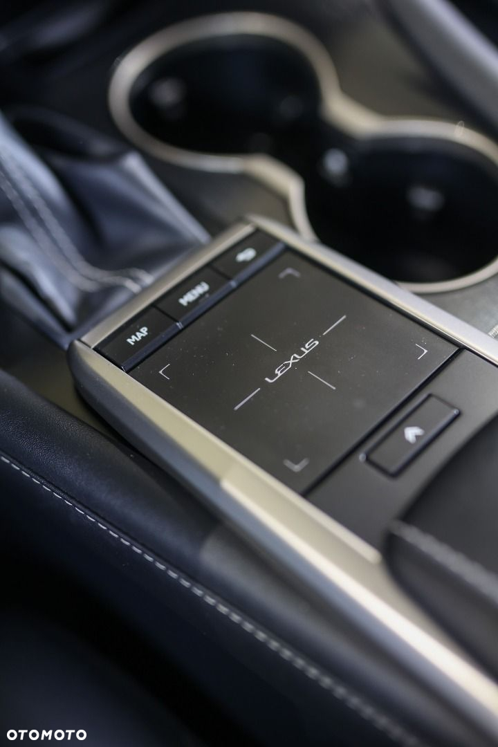 Lexus RX - 20