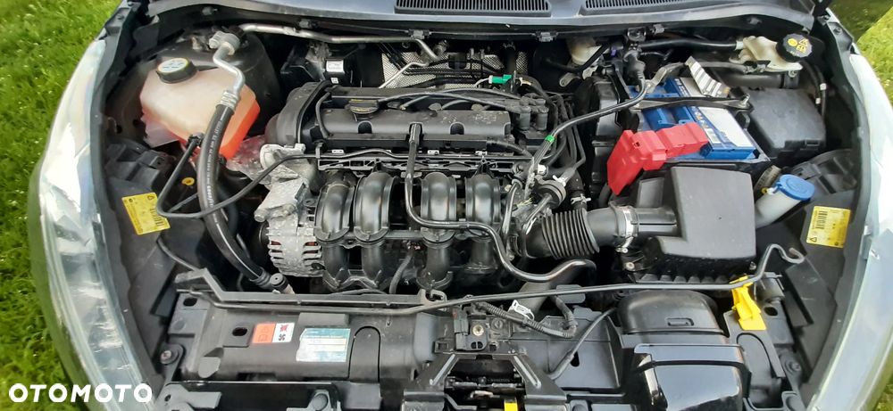 Ford Fiesta - 30