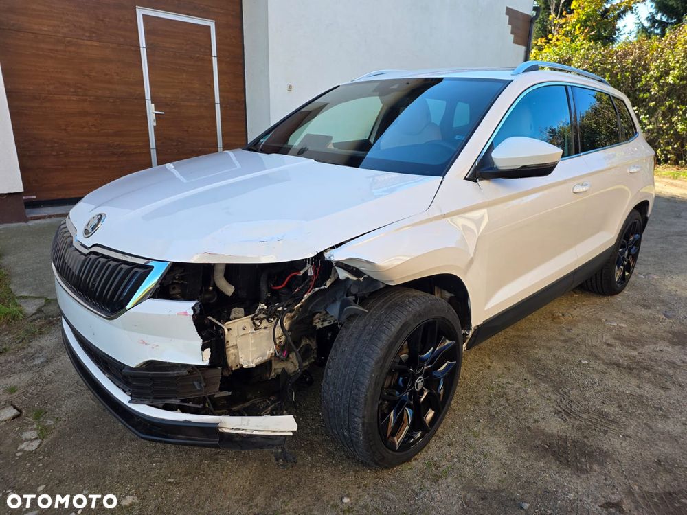 Skoda Karoq 2019 photo 2