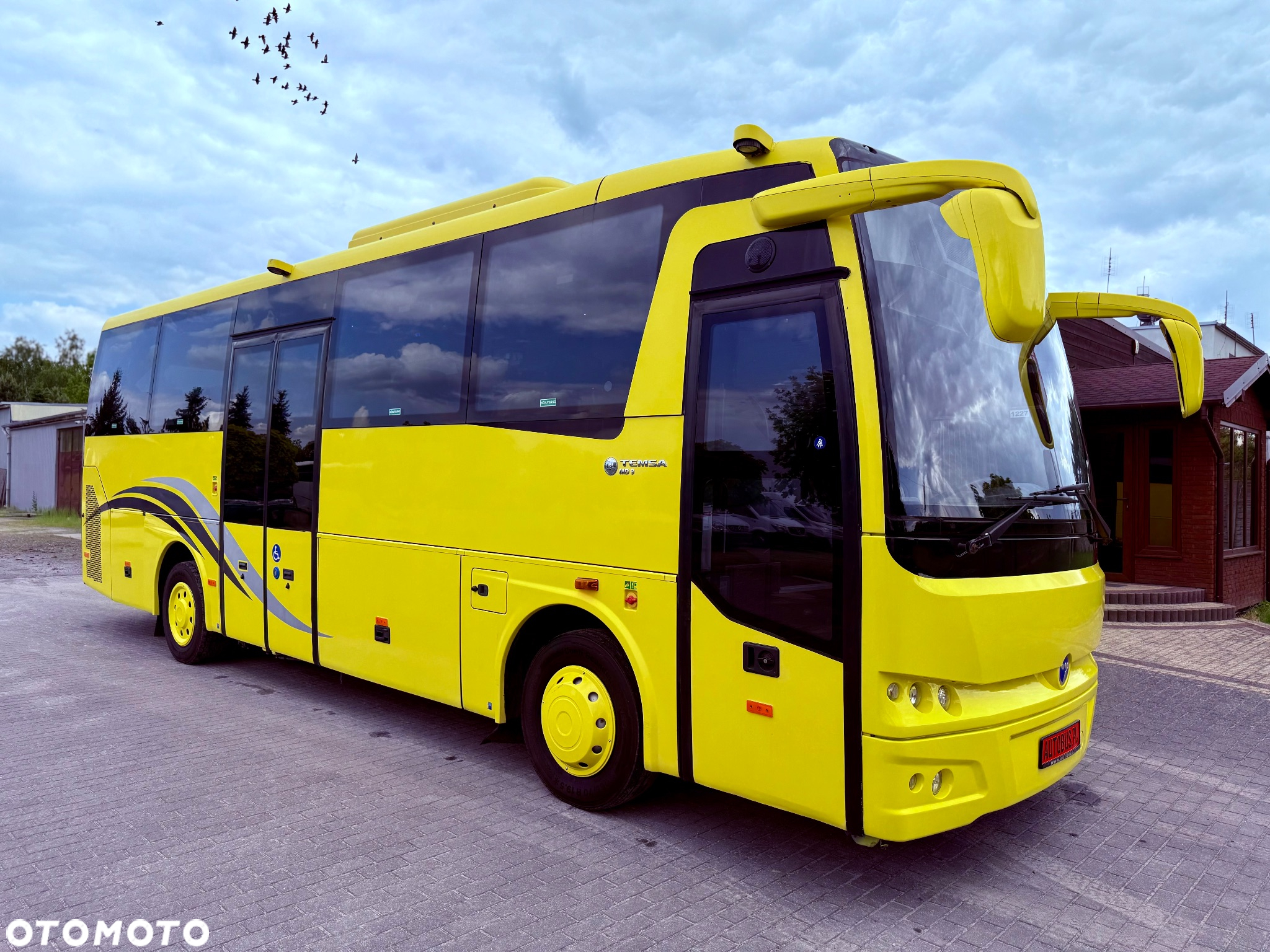 Temsa MD9 - 6