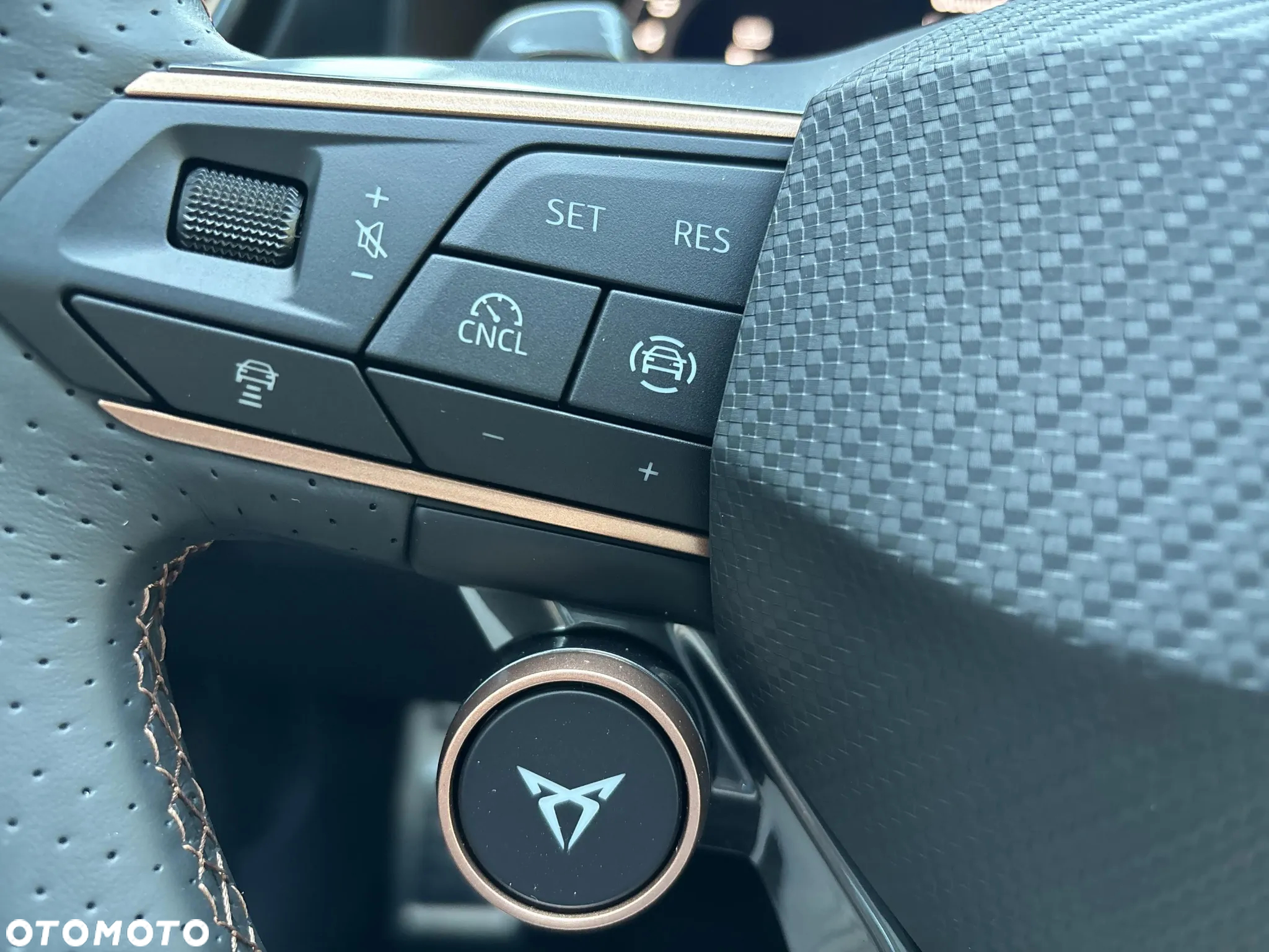 Cupra Formentor 2.0 TSI 4Drive DSG - 20