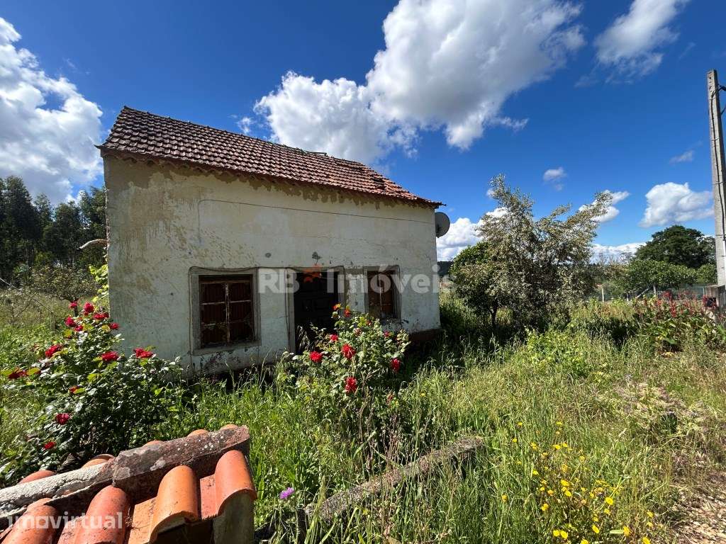 Casa para recuperar com terreno - Telhadas, Ferreira do Zêzere - Grande imagem: 4/32