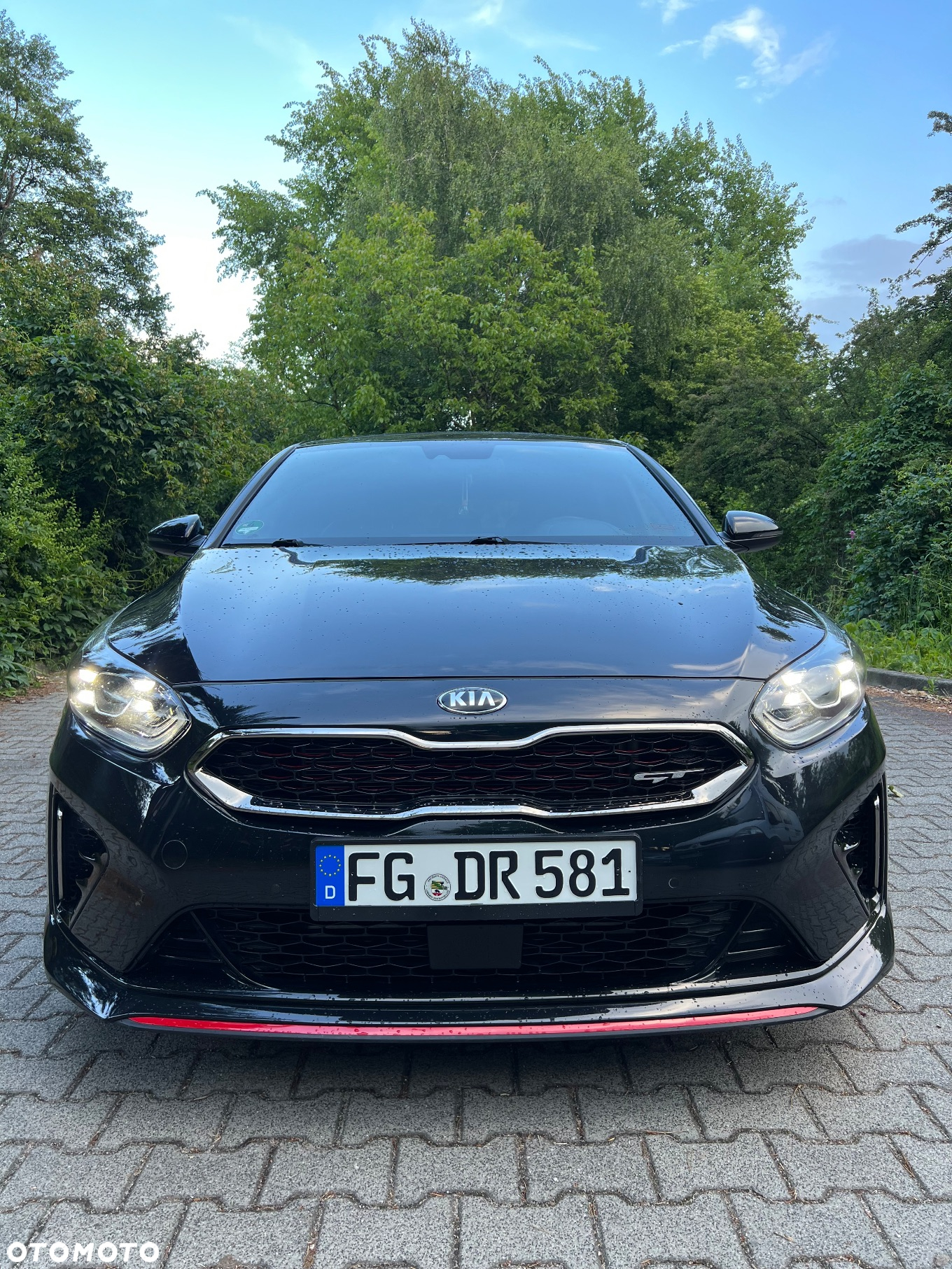 Kia ProCeed 1.6 T-GDI DCT7 OPF GT - 2