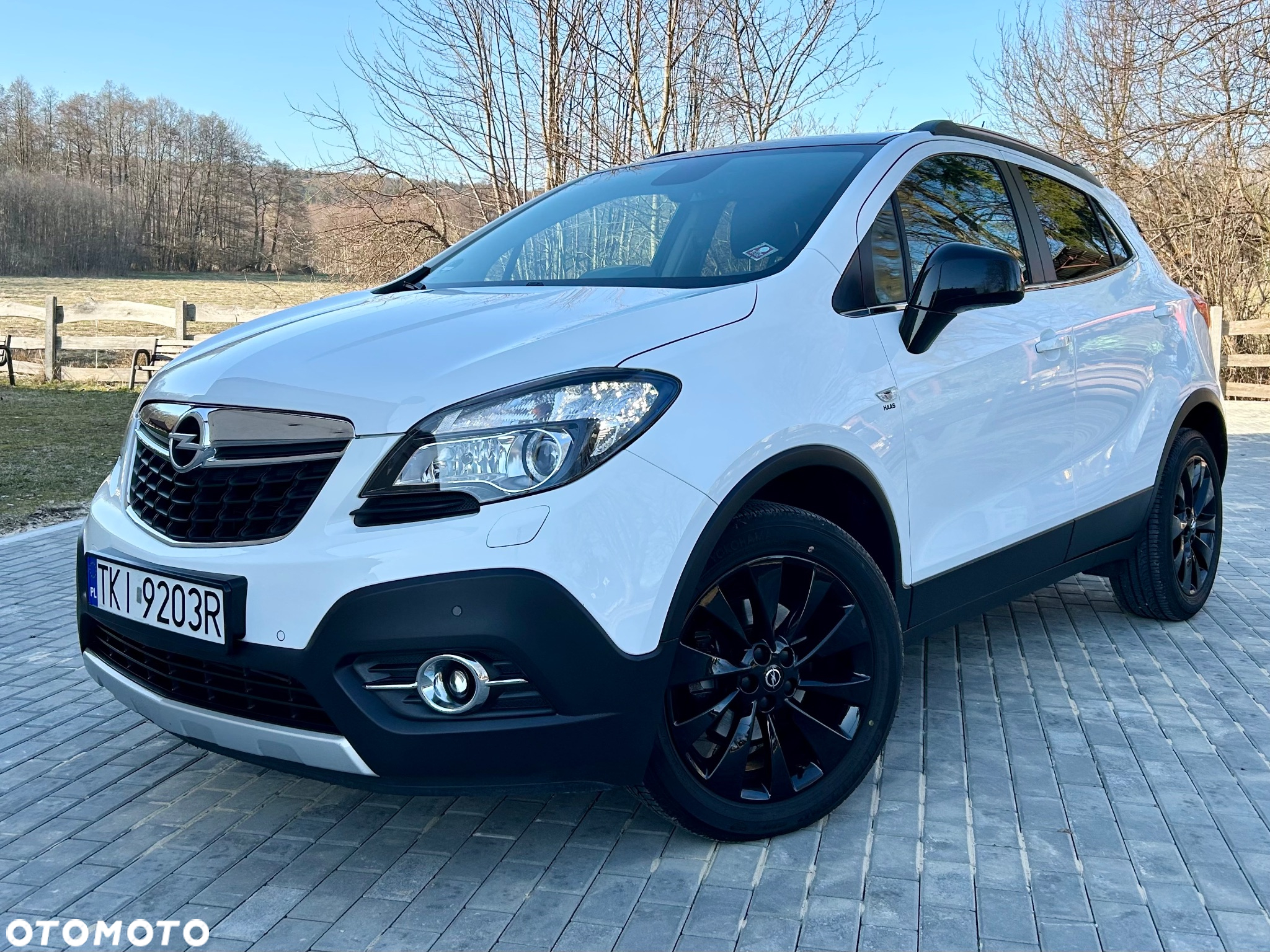 Opel Mokka X 1.6 D (CDTI ecoFLEX) Start/Stop Color Innovation - 2