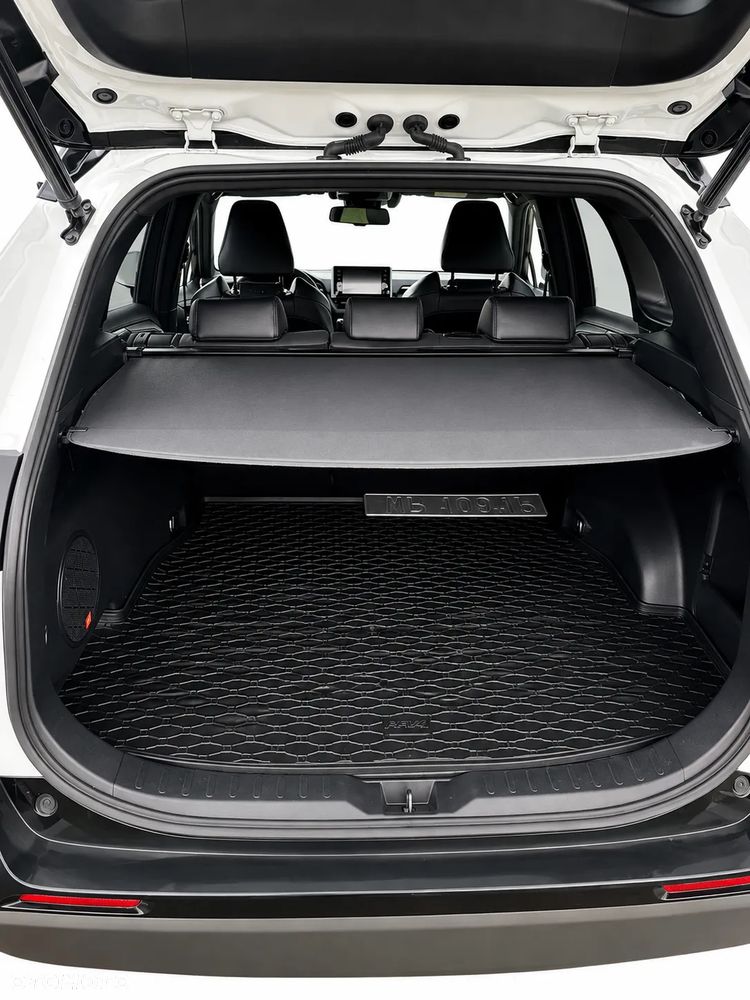 Toyota RAV4 2.5 Hybrid Executive 4x4 - 8