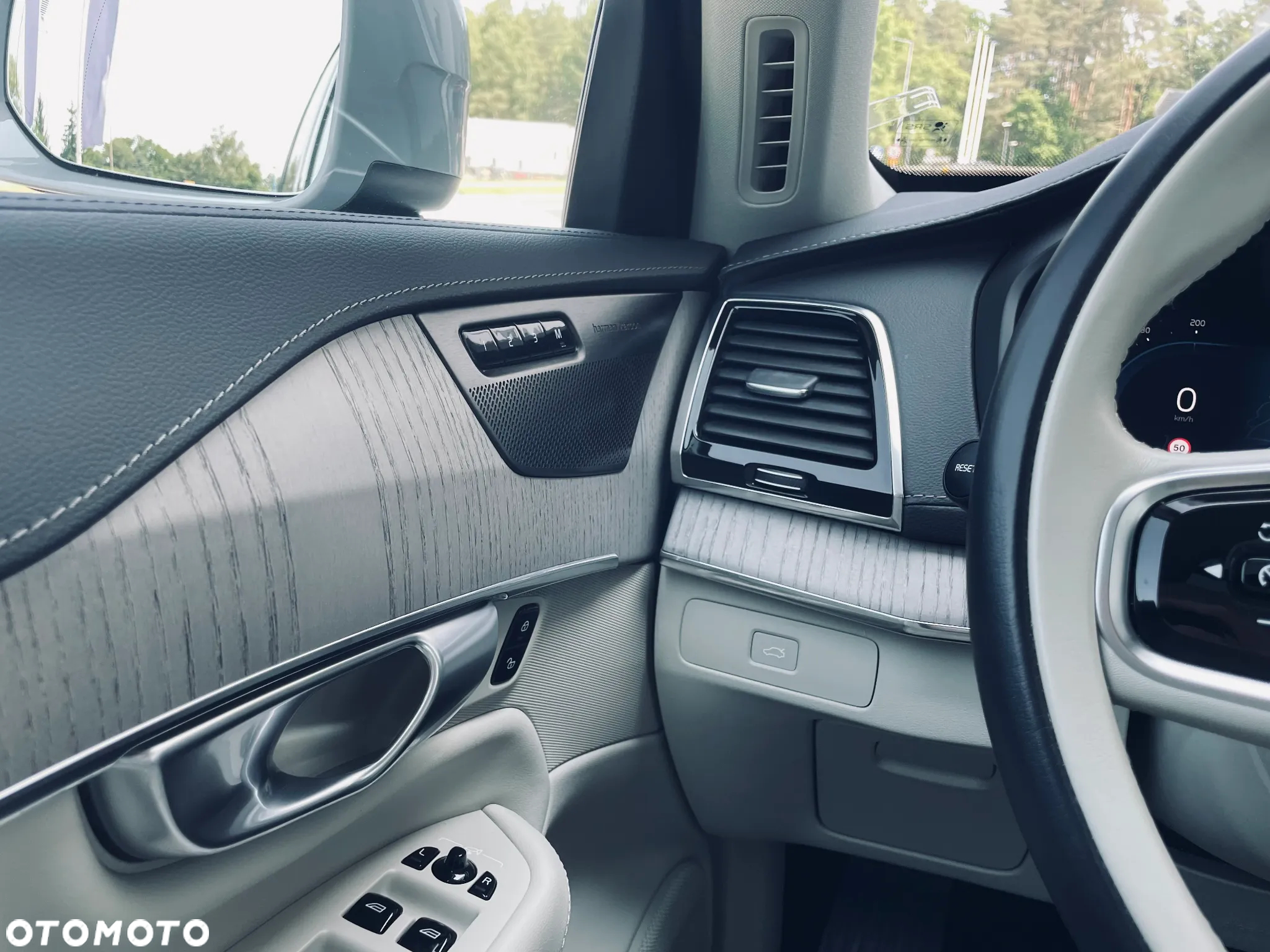 Volvo XC 90 - 10