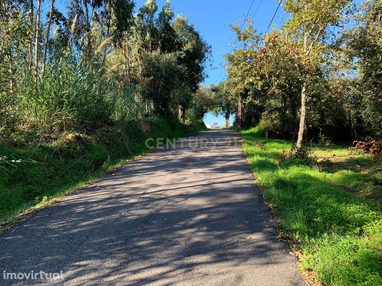 Terreno rústico com 1350m2, passível de construção - urbanização, nest - Grande imagem: 5/14